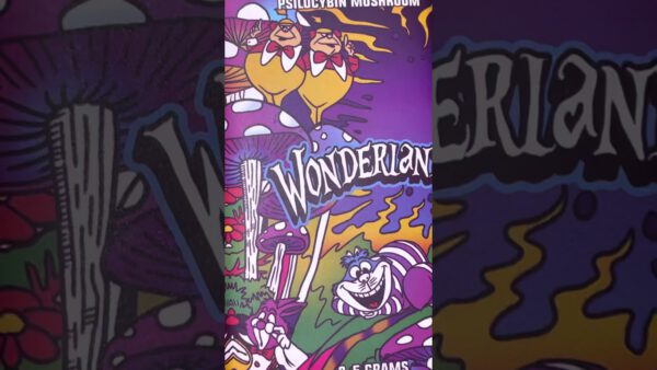 Buy Wonderland chocolate bars at mushroomonlineshop, Wonderland mushroom chocolate bars available in stock.
