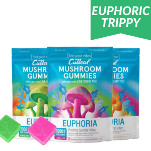 cutleaf mushroom gummies euphoria for sale in stock, shop Cutleaf - Euphoria Mushroom Gummies - Sunrise - 1000mg online at mushroomonlineshop